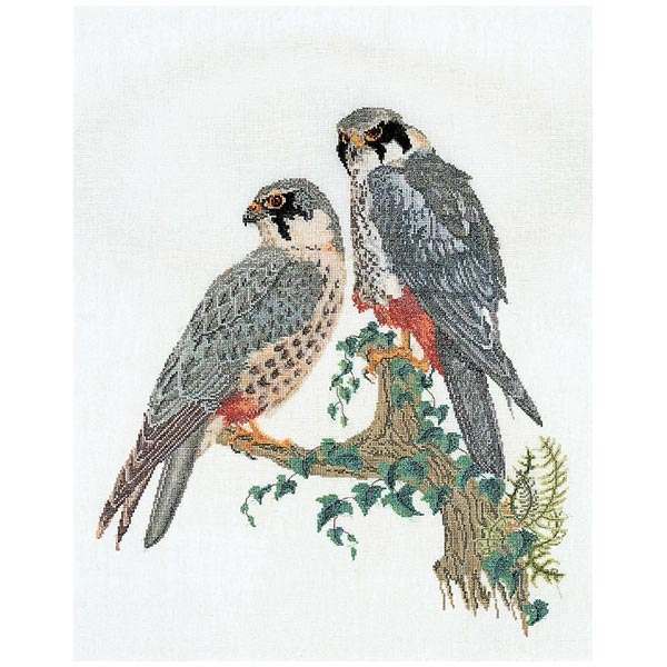 Thea Gouverneur Cross Stitch Kit Falcons