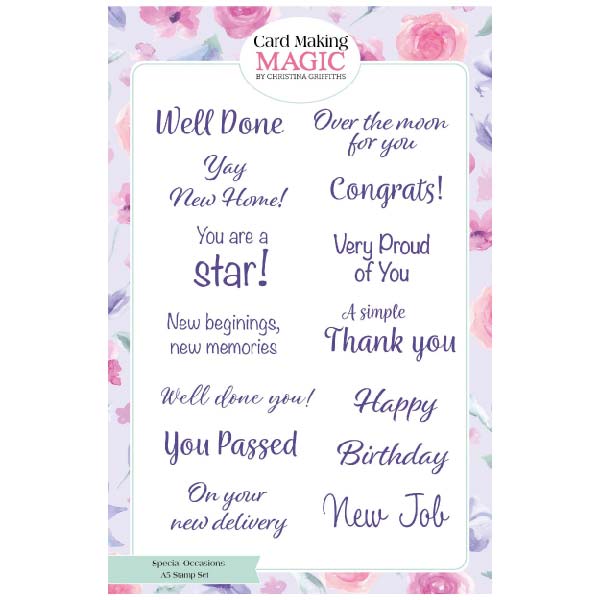 Image of Card Making Magic A5 Stamp Set Special Occasions Set of 14 | Ribbons and Lace Collection